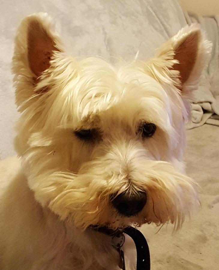 Tanleys B&B Grantown-on-Spey Εξωτερικό φωτογραφία