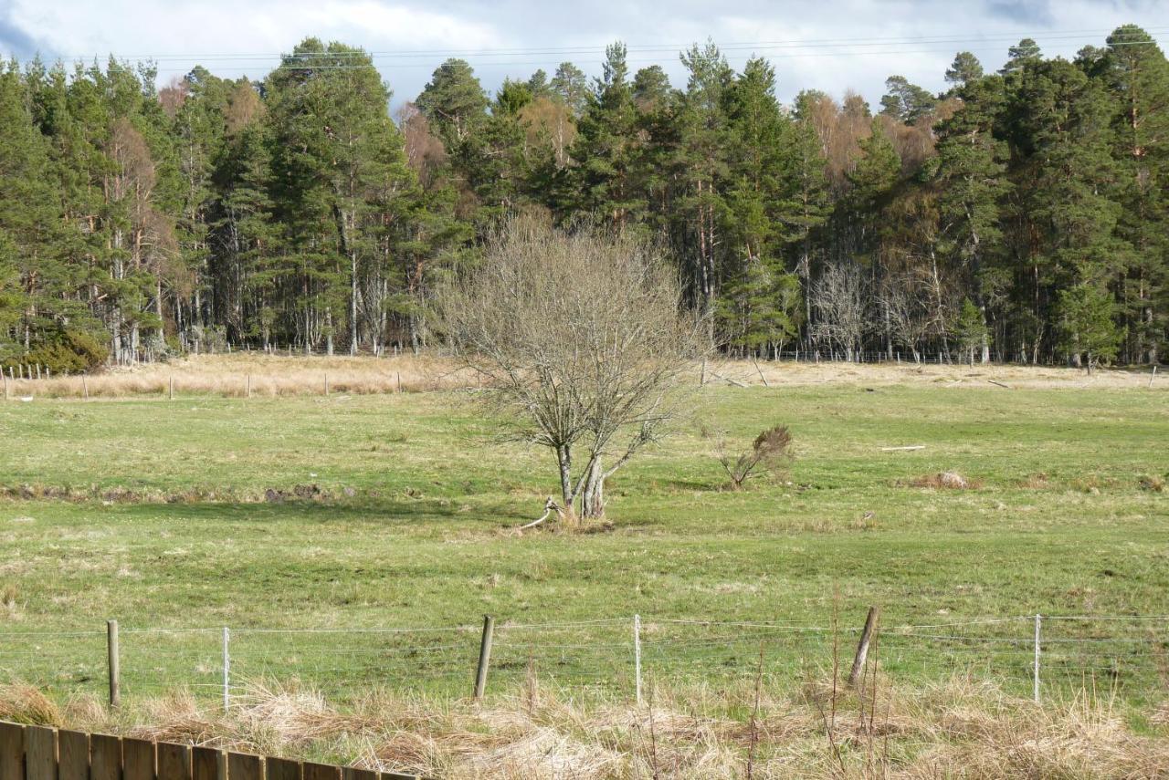 Tanleys B&B Grantown-on-Spey Εξωτερικό φωτογραφία